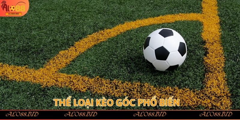 Kèo Phạt Góc – Khái Niệm, Cách Đọc Và Tính Tiền Chính Xác 3 Thể loại kèo góc phổ biến